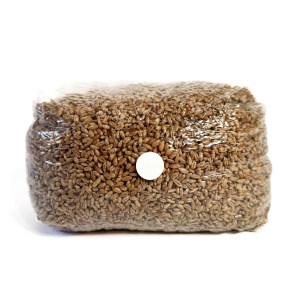 Sterilized grain bags pictured with a self healing injection port. There is a white background, and there is 5 pounds of rye grain spawn.