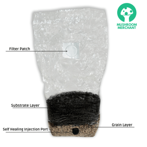The best all in one mushroom grow bag with labels. This grow kit is shown with a white background.