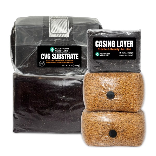 monotub refill kit with grain and substrate