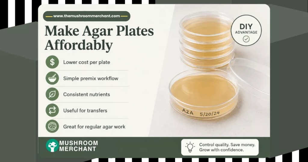DIY agar plates infographic