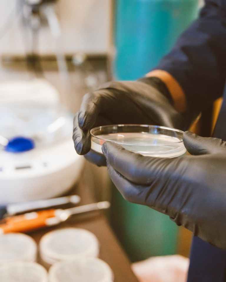 person holding clear glass dish
