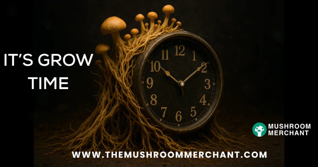 How long does it take mycelium to grow on agar.