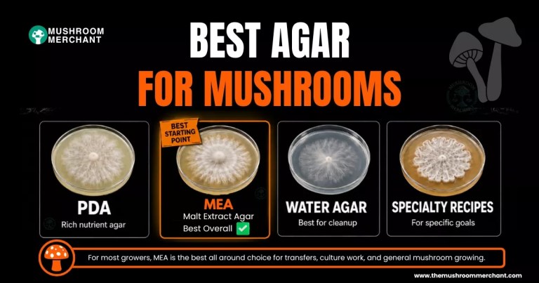 best agar for mushrooms comparison chart