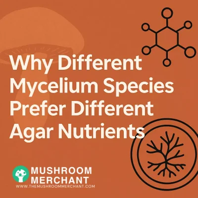 What type of agar for mushrooms with orange background.