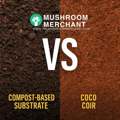Best substrate for growing mushrooms is coco coir.