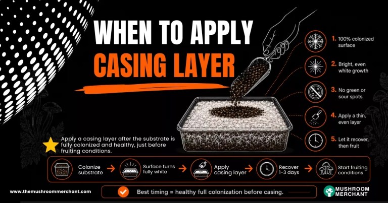 graphic showing when to apply casing layer for mushrooms