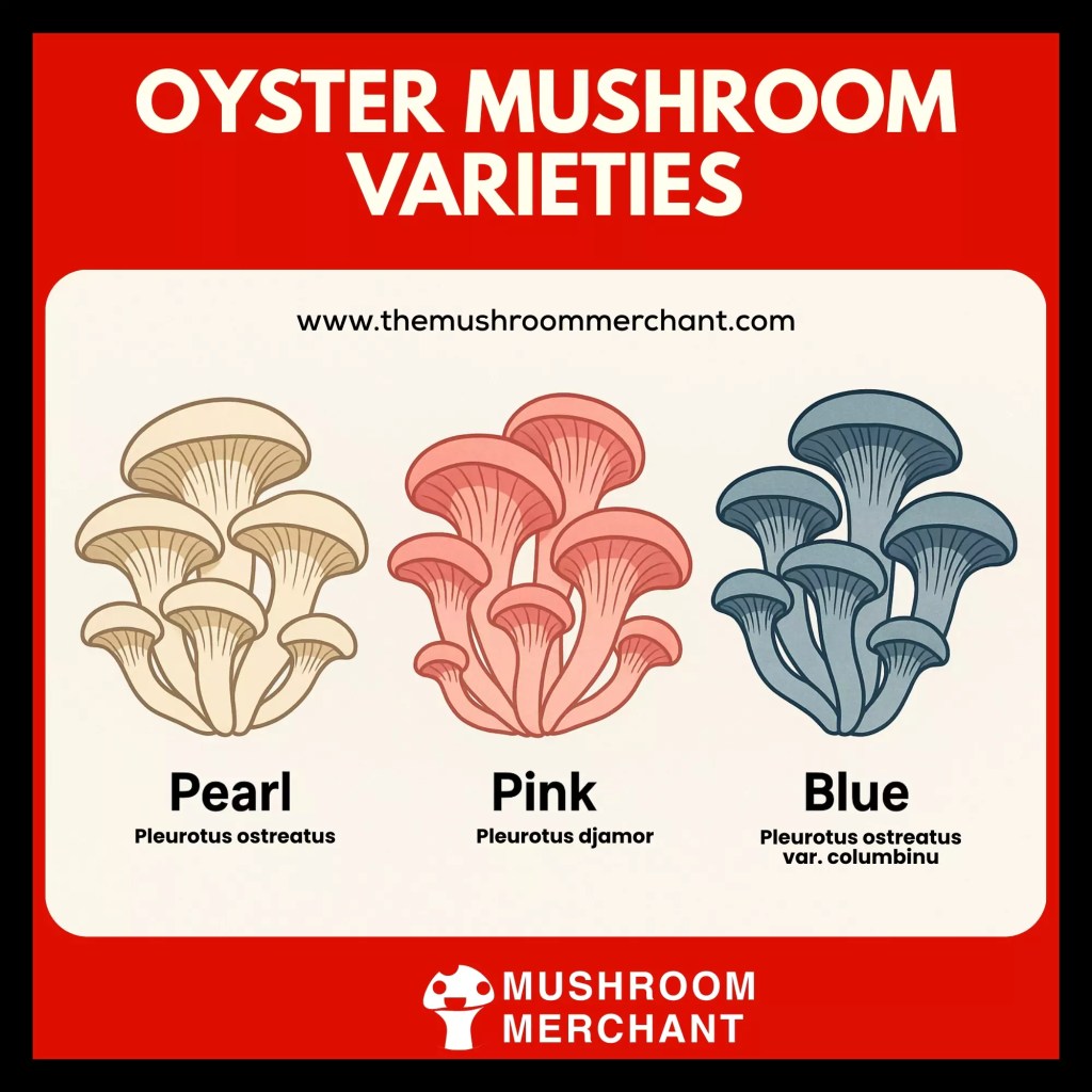 icons of oyster mushrooms