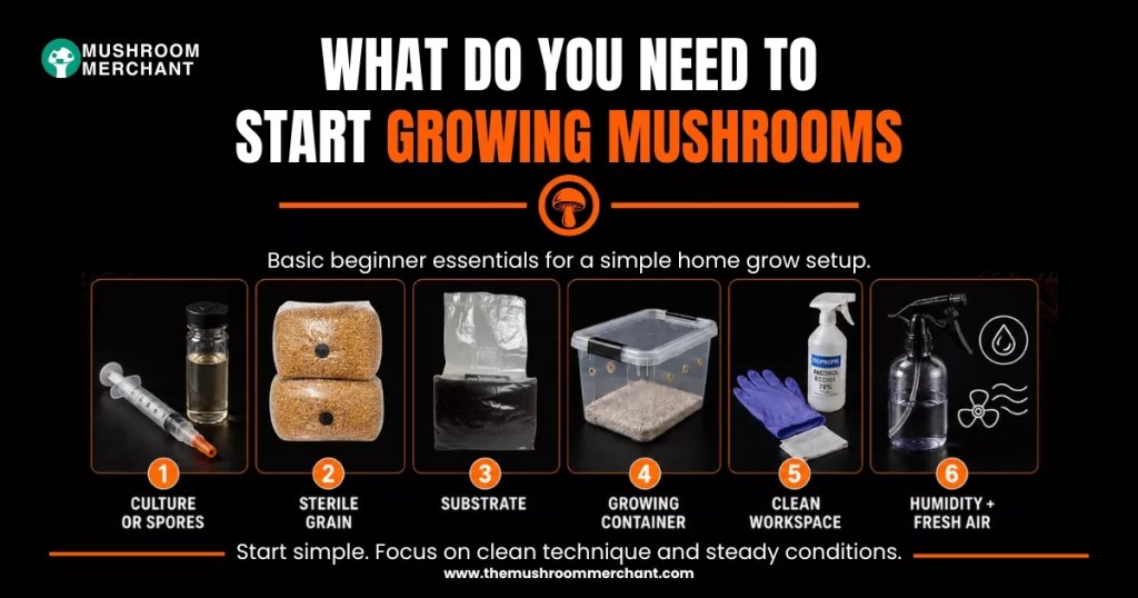 what do you need to start growing mushrooms shown as list