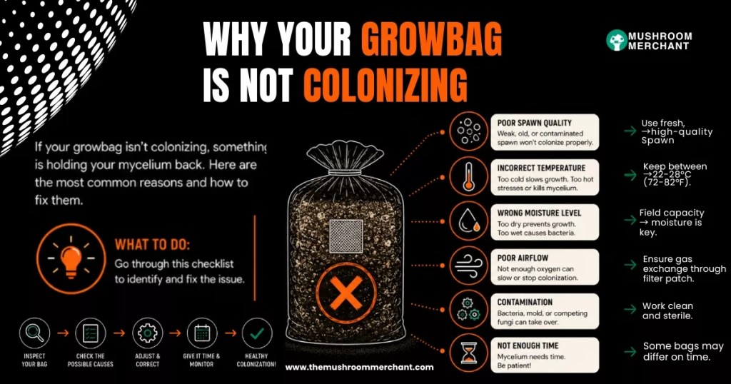 mushroom grow bag isn't colonizing explained