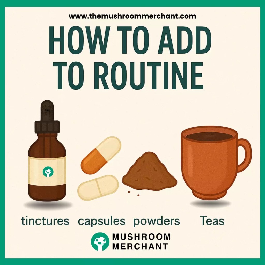 ways to take functional mushrooms