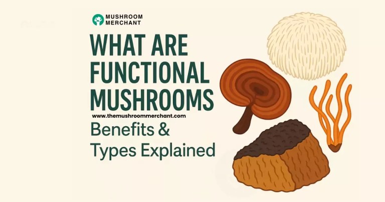 what are functional mushrooms in dark green text