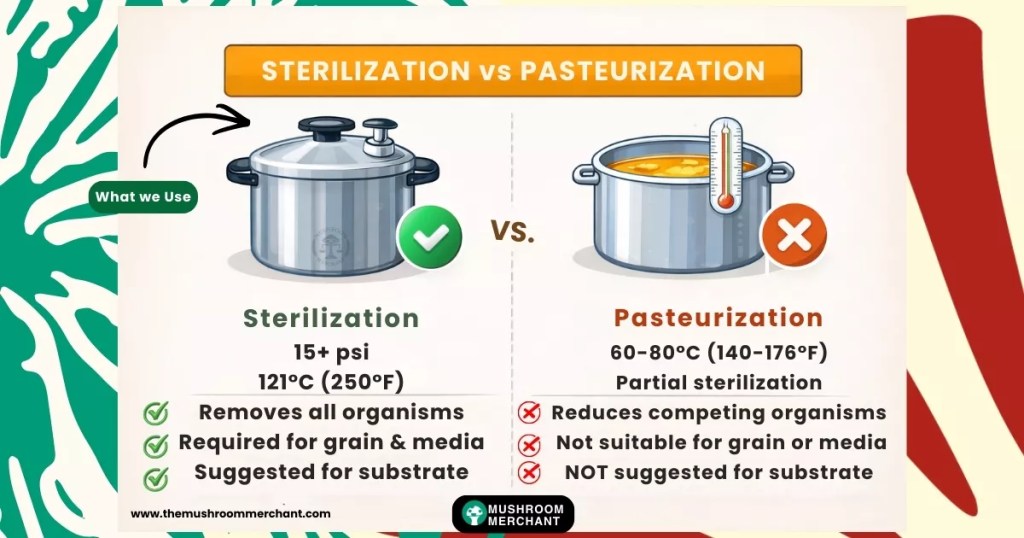 sterilization vs pasteurization in mushroom cultivation explained visually