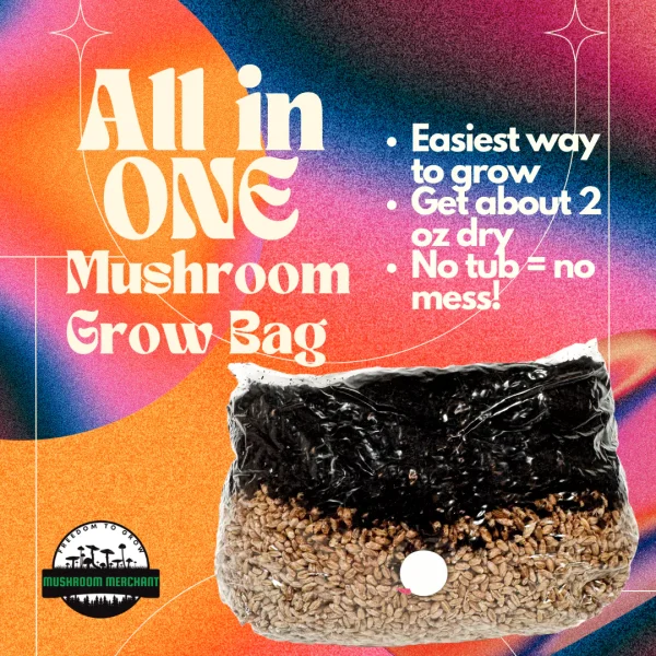 Best all in one mushroom grow bag displayed by multi color text.